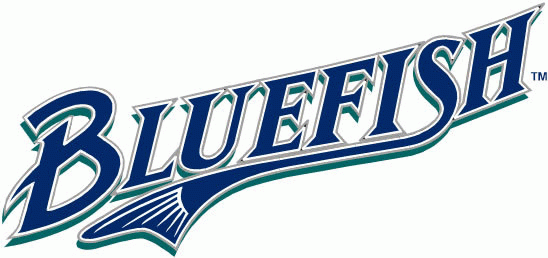 Bridgeport Bluefish 1998-Pres Wordmark Logo iron on transfers for T-shirts